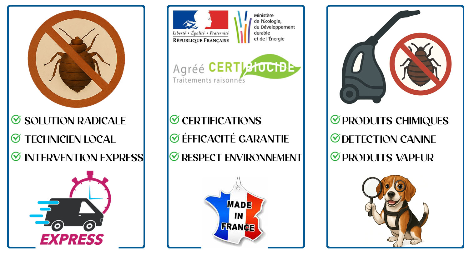 Punaises de Lit Versailles